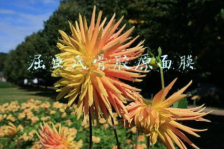 屈臣氏骨胶原面膜敏感肌能用吗(屈臣氏有哪些你不知道的雷品？这4款虽然很平价，但真的不好用)