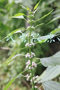 屈臣氏骨胶原面膜好用不(逛了8年屈臣氏，整理出40件必买和踩雷清单！)