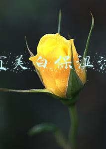 丁家宜美白保湿乳液怎么样(没想到曾经被名字耽误的国货护肤品，现在却让我真香了)