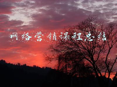 网络营销课程总结与心得体会(超3800字长文，总结Instagram营销心得，免费渠道+广告投放技巧)