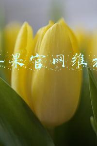 苹果官网维护什么时候结束(iPhone 13凌晨见！Apple Store已经开始维护)