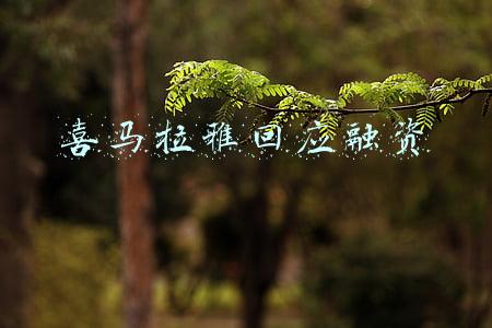 喜马拉雅回应融资 喜马拉雅回应融资