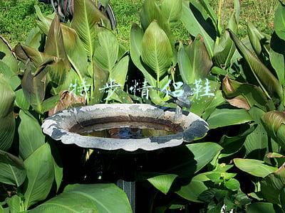 特步情侣鞋冬(天猫双11剁手倒计时：1499元飞天茅台、iPhone11、椰子鞋即将开抢)