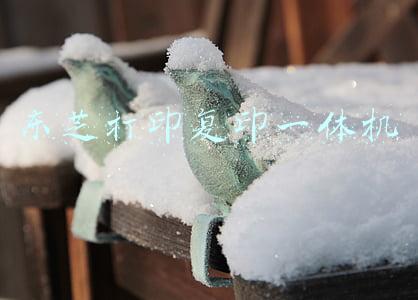 东芝打印复印一体机