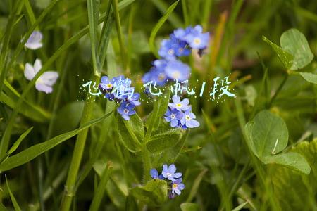 飞鹤飞帆1段奶粉多少钱一罐(谁才是飞鹤奶粉中的性价比之王？答案在这儿)