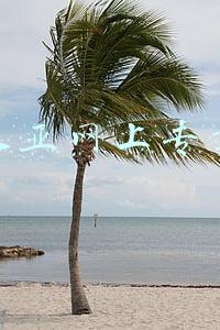 诺基亚手机官网专卖店(即将上市！国行Lumia930终于现身诺基亚官网)