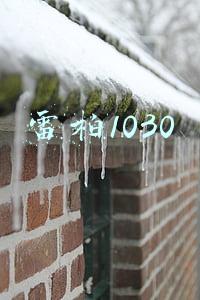 雷柏1030鼠标(1857.9元，攒一台 AMD 锐龙主机，缝缝补补再战十年)