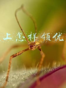 淘宝上怎样领优惠券