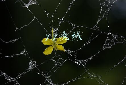 yy魔域礼包(暗黑崛起特惠礼包魔域来了特惠礼包有哪些东西)