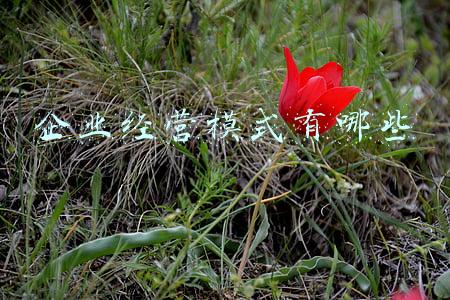 企业经营模式(“整店输出模式”有5种，你用的是哪几种？整店输出企业如何做？)
