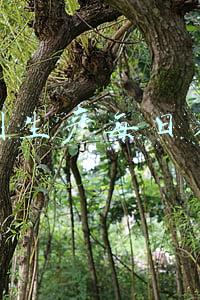 车间生产每日看板格式(数字化车间时代的可视化管理----智能电子看板)