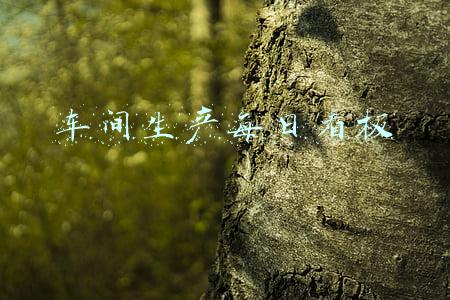 车间生产每日看板怎么做(数据透视表动态图表看板，简单几步，你也可以制作高大上的看板)