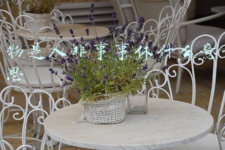 物是人非事事休什么意思啊(李清照最知名的宋词名句：“物是人非事事休，欲语泪先流”)