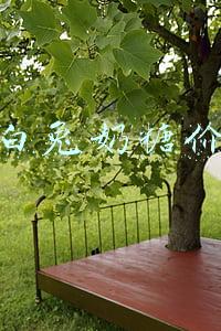 80年代大白兔奶糖价格(新中国几代人的童年回忆，大白兔奶糖的辉煌历史)