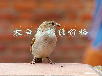 70年代大白兔奶糖价格(每代人都有自己的“大白兔”，这波童年回忆请收好（文末有惊喜）)