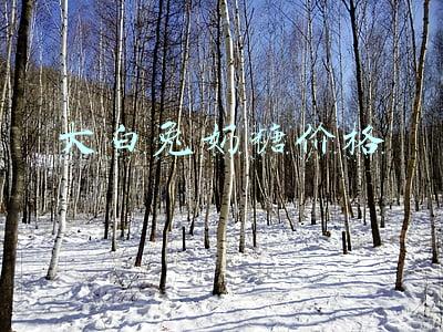 大白兔奶糖价格表(大白兔奶糖一斤265元！现在的你高攀不起了| 80后吃的那些糖你还记得么)