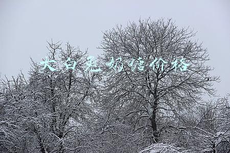 大白兔奶糖价格策略(大白兔奶糖价格涨9倍 大白兔奶糖获得荣誉有哪些)