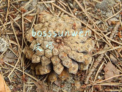 bosssunwen皮带