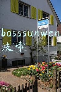bosssunwen皮带