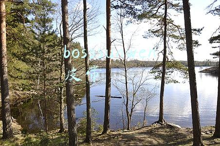bosssunwen皮带