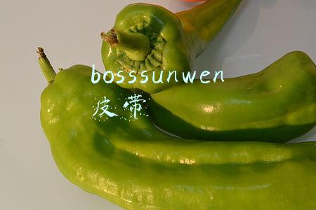 bosssunwen官网(三十二载，“服装节”与沈阳人一路相伴)