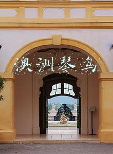 澳洲琴鸟叫声(口技大师技能升级，一只雄琴鸟能模仿百鸟争鸣)