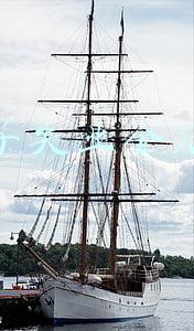 领了失业金后悔