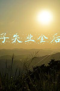 领了失业金后悔