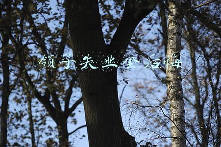 领了失业金后悔