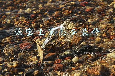 淘宝主页怎么装修