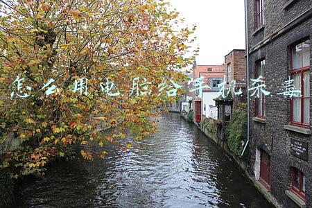 怎么用电脑给手机杀毒