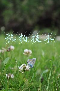 航拍技术