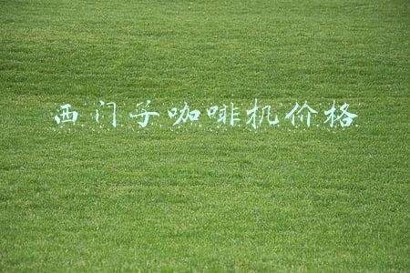 西门子嵌入式咖啡机(智能触控显示 西门子全自动咖啡机EQ.6评测)