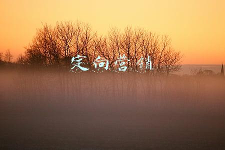定向营销