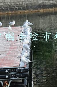 中国车险市场