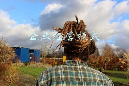 运营模式有哪几种(2.定人设-四大私域运营模式助力品牌长效增长)