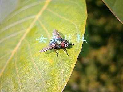女式球鞋图片(直男迷思，给女生推荐球鞋太难了，这5双球鞋教你不踩雷)