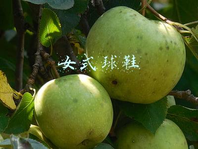 女式篮球鞋(今年很火的运动鞋，适合女生穿的，还没买的姐妹们快点安排上)