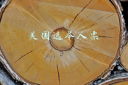 美国选举人票投票结果(德国大选初步结果出炉：社民党以微弱优势领先联盟党)