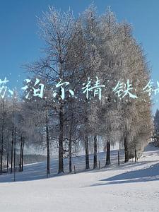 苏泊尔精铁锅
