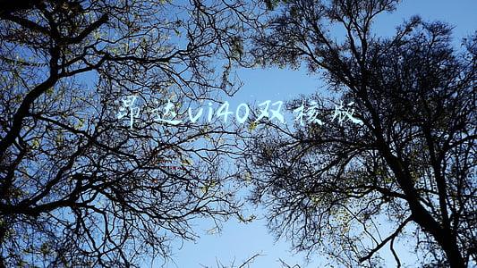 昂达vi30豪华版(达人教你选平板/ 且看驰为Vi10与昂达V102w的对抗赛)