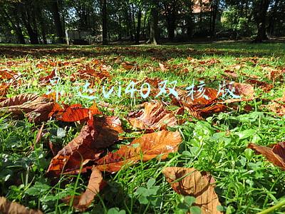 昂达vi40双核版最新固件(首发体验！昂达V989八核升级Android5.0)