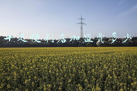 十足便利店加盟赚钱吗-十足便利店加盟费多少?加盟条件有哪些