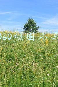 360顽固木马