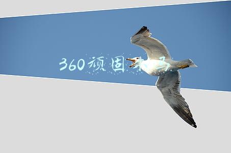 360顽固木马专杀教程(更专业的木马查杀工具，360安全卫士轻松消灭电脑顽固病毒)