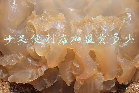 十足便利店官网《十足便利店加盟官网》