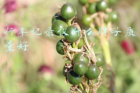 行车记录仪哪个好(选对行车记录仪，和路上的「麻烦」坦然交手)