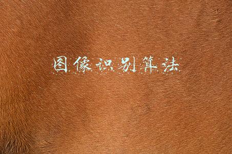 java图像识别算法(厉害！Java也能搞定图片识别？只需用这“三板斧”)