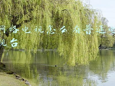 网络电视怎么看普通电视台电视没有频道(从智能电视应用内没有电视台直播软件说起)