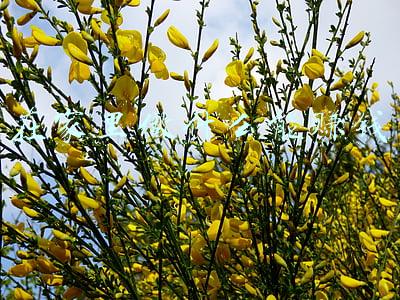 在家里做什么能赚钱